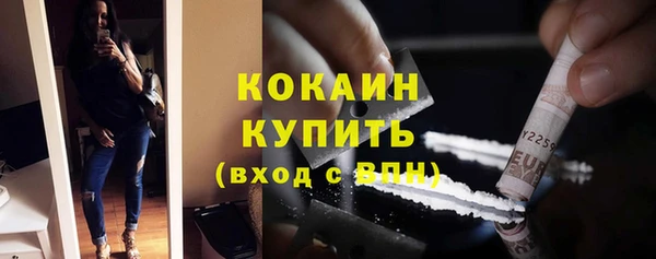 шишки Балабаново