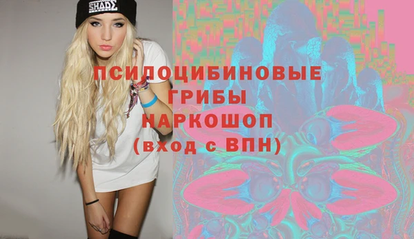 ГАЛЛЮЦИНОГЕННЫЕ ГРИБЫ Аркадак