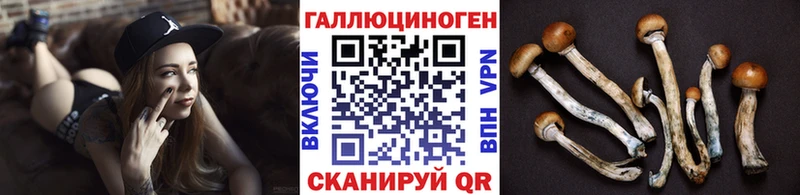 Галлюциногенные грибы Psilocybine cubensis  hydra рабочий сайт  Гатчина 