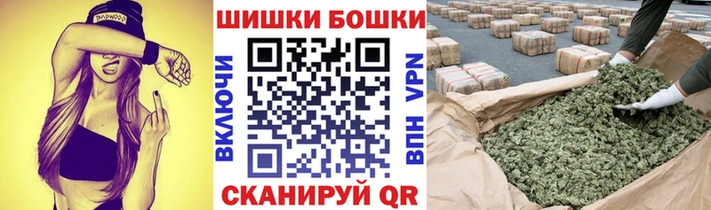 Бошки марихуана конопля  Гатчина 